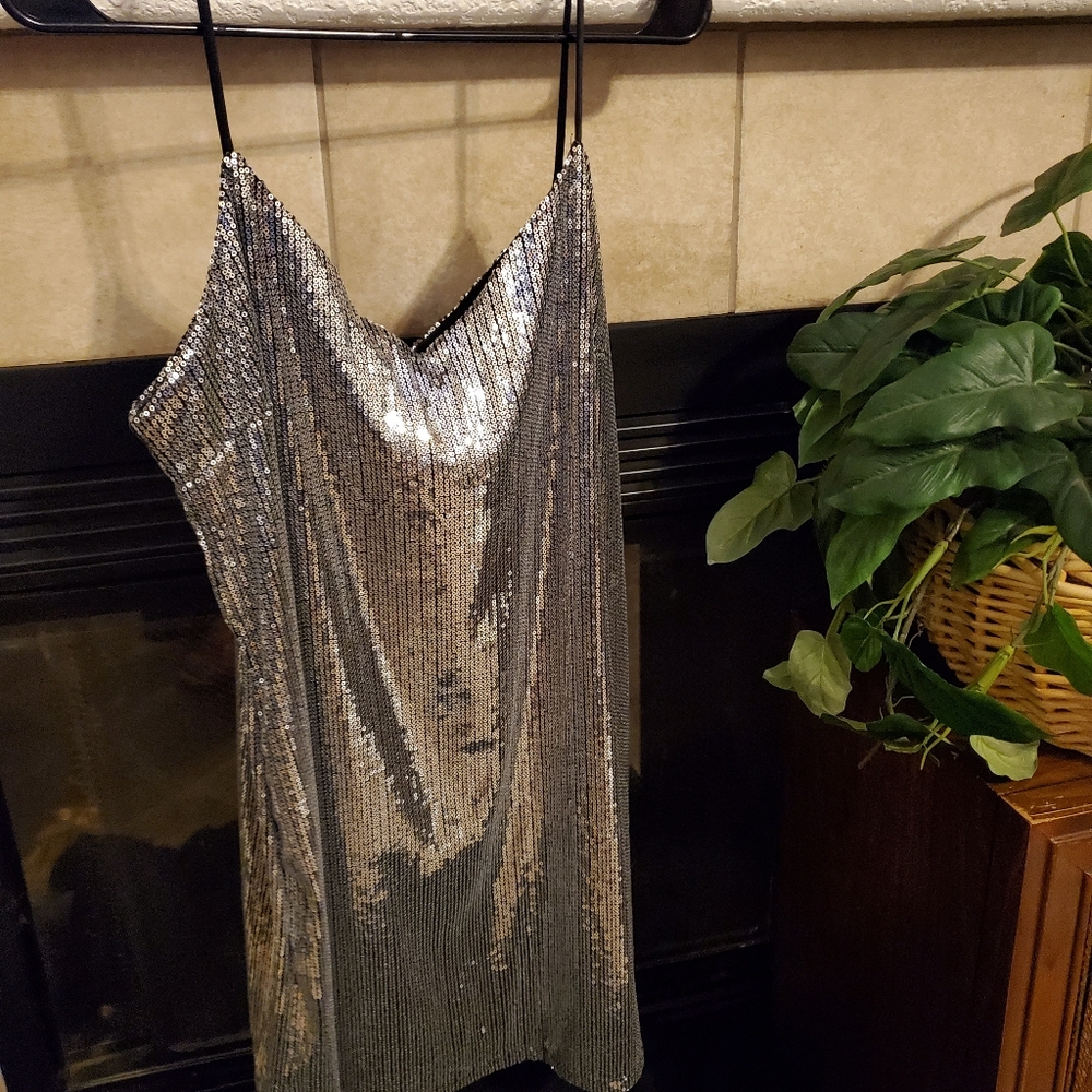 Wild Fable dress